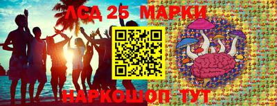 ECSTASY Донской