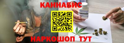 шишки Дубна