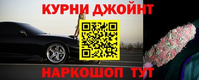 шишки Дубна