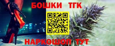 шишки Дубна