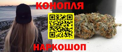 шишки Дубна