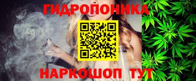 шишки Дубна