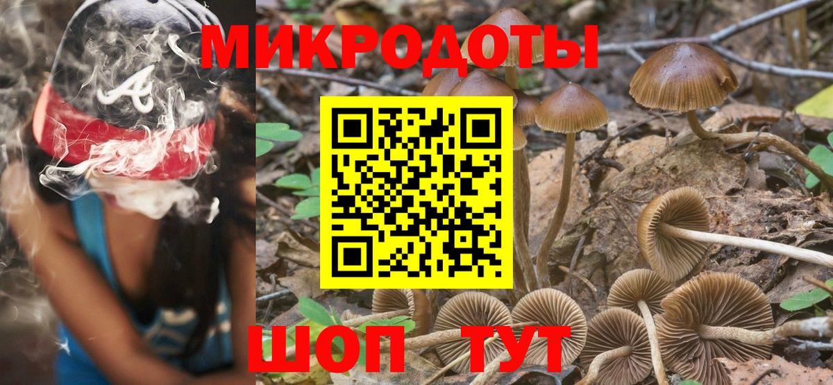 Псилоцибиновые грибы Psilocybe Моздок