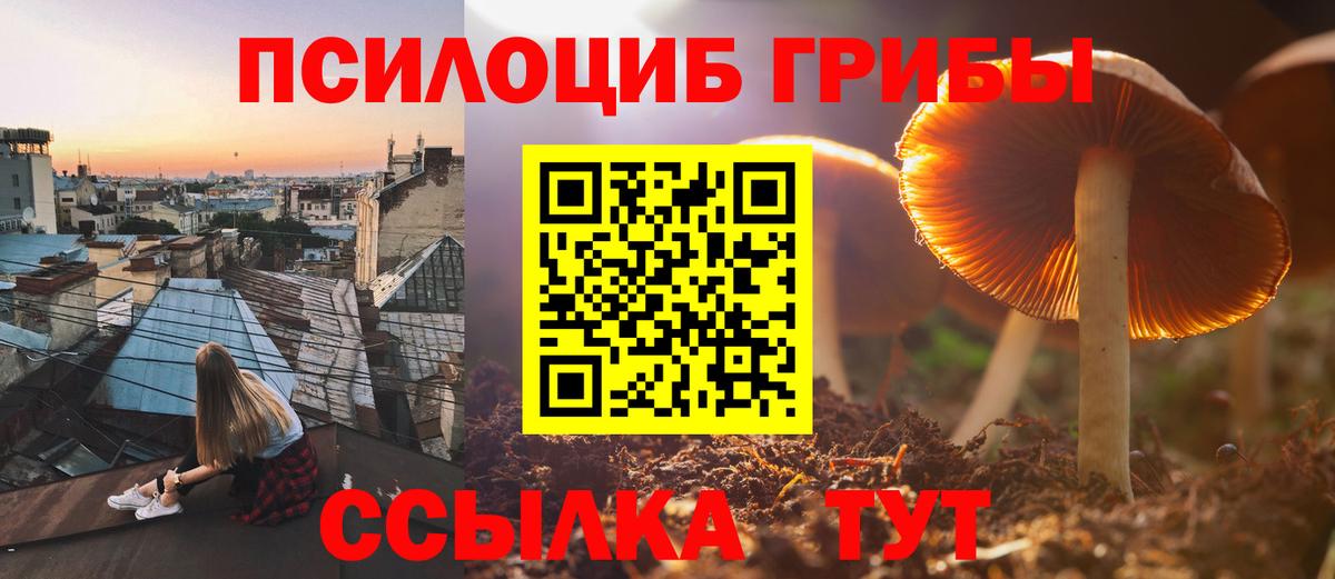 Галлюциногенные грибы прущие грибы  Вход с VPN  Моздок 