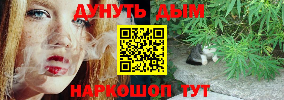 Шишки марихуана сатива  Вход с VPN  Моздок  МАРИХУАНА Amnesia  Шишки марихуана Amnesia 